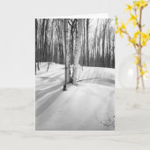 雪および白い樺の木 カード (黄色い花)