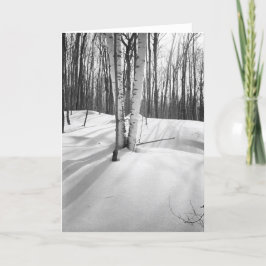 雪および白い樺の木 カード