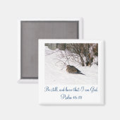 雪かき磁石に鳩 マグネット (正面/裏面)