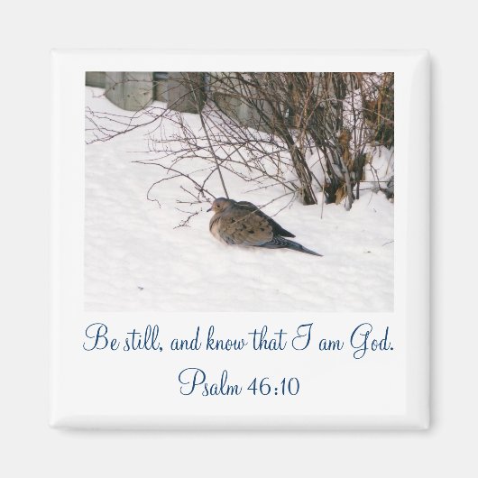 雪かき磁石に鳩 マグネット (正面)