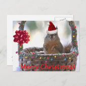 雪かごの中のクリスマスリス シーズンポストカード (正面/裏面)