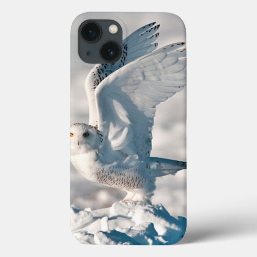 雪から出発しているSnowyのフクロウ Case-Mate iPhoneケース (裏面)