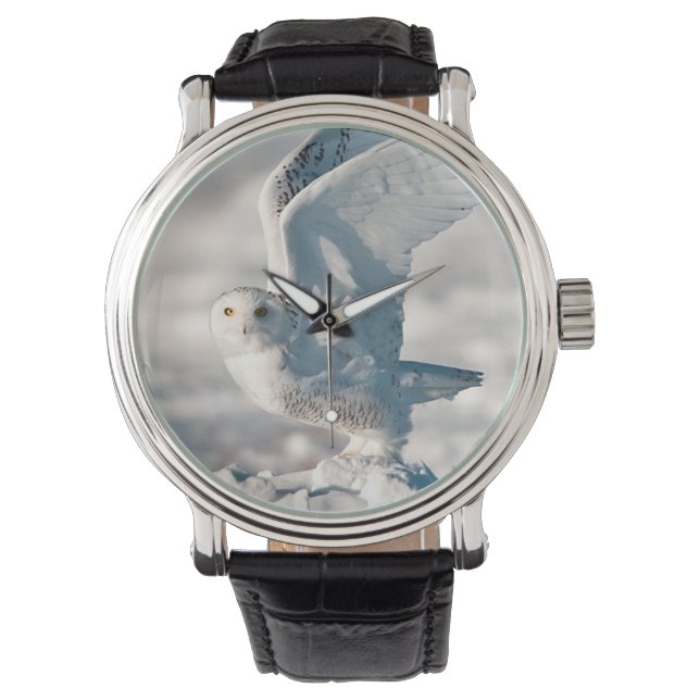 雪から飛び降るフクロウ 腕時計 (正面)