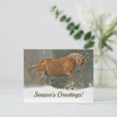 雪かわいらしの荷車を引く中のパロミノの馬 シーズンポストカード (スタンド正面)