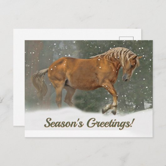 雪かわいらしの荷車を引く中のパロミノの馬 シーズンポストカード (正面/裏面)