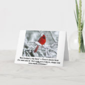 雪かわいらしカードの赤い(鳥)ショウジョウコウカンチョウ カード (裏面)