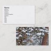 雪がポンデロサマツの枝を埋める 名刺 (正面/裏面)