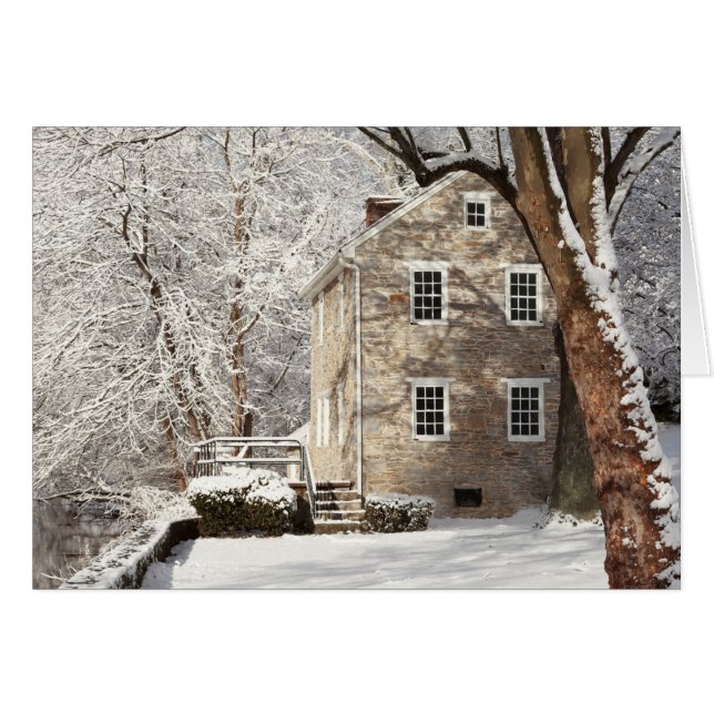 雪が多い木が付いているまだ家 (正面横)