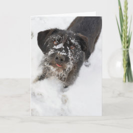 雪が多い鼻のクリスマスのテリア シーズンカード