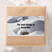 雪が岩の本の識別に漂流 ラベル (インサイチュ)