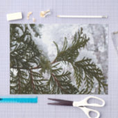 雪が常緑の枝に雪が降る冬の自然写真 薄葉紙 (クラフト)