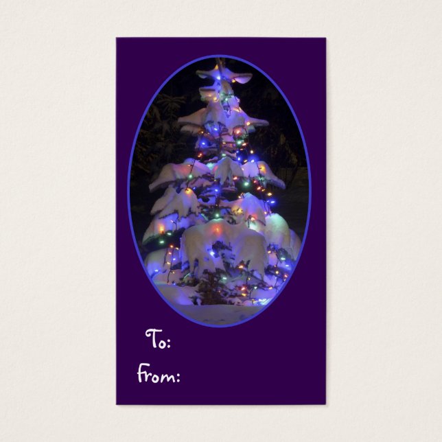 雪が明るく照らされたクリスマスツリー (正面)
