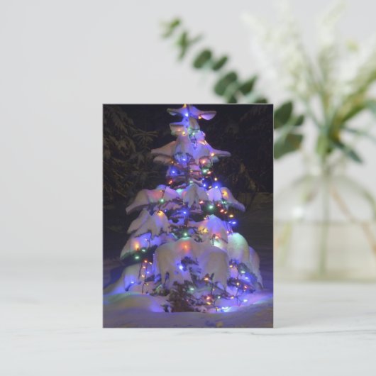 雪が明るく照らされたクリスマスツリー シーズンポストカード (スタンド正面)