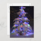 雪が明るく照らされたクリスマスツリー シーズンポストカード (正面/裏面)