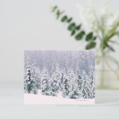 雪が松の木を覆った ポストカード (スタンド正面)
