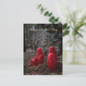 雪が母の日を彩る ポストカード (スタンド正面)