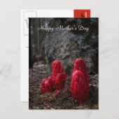 雪が母の日を彩る ポストカード (正面/裏面)