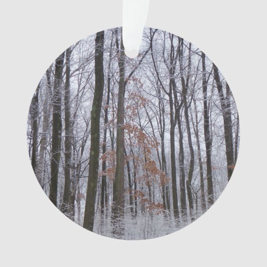 雪が積もった森の冬の風景写真 オーナメント (正面)