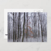 雪が積もった森の冬の風景写真 ポストカード (正面/裏面)