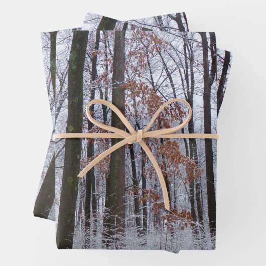 雪が積もった森の冬の風景写真 ラッピングペーパーシート (インサイチュ)