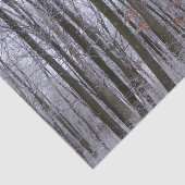 雪が積もった森の冬の風景写真 薄葉紙 (詳細)