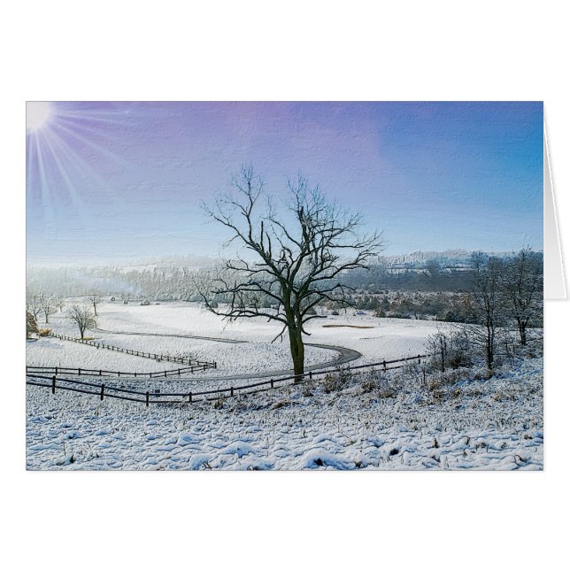 雪が覆われたオザーク丘陵 (正面横)