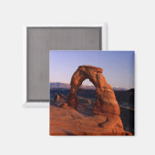 雪が覆われた夕日の繊細なアーチLa マグネット (正面/裏面)