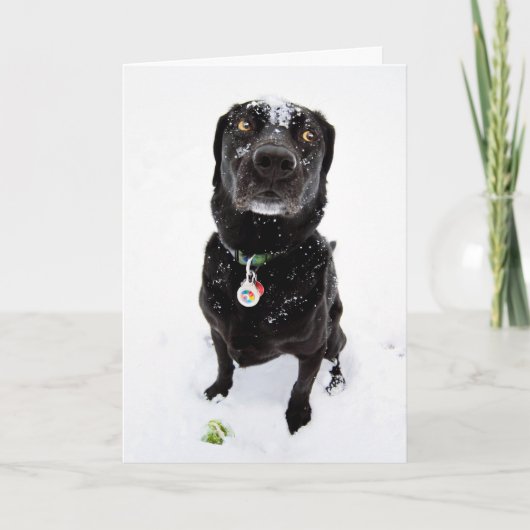 雪が降った！ シーズンカード (正面)