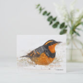 雪が降り注ぐ美しい多彩なツグミの鳴鳥 ポストカード (スタンド正面)