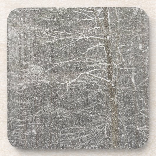 雪が降ること コースター (正面)