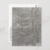 雪が降ること ポストカード (正面/裏面)