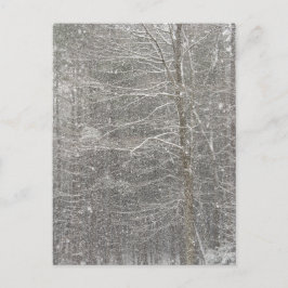 雪が降ること ポストカード