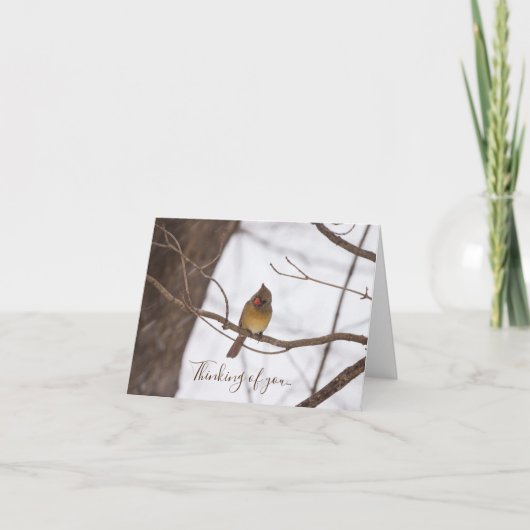 雪が降るとミセス・（鳥）ショウジョウコウカンチョウ考えるが君のことを言う カード (正面)