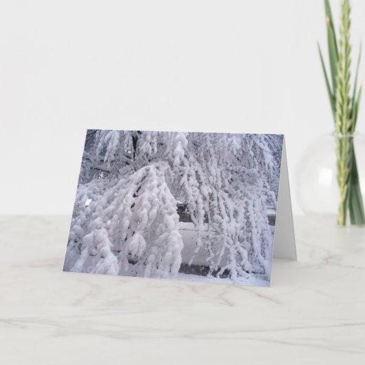 雪が降るカード シーズンカード (正面)