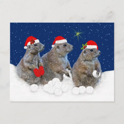 雪が降るクリスマス ポストカード (正面)