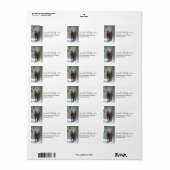 雪が降る冬の森の中の茶色の馬 ラベル (フルシート)