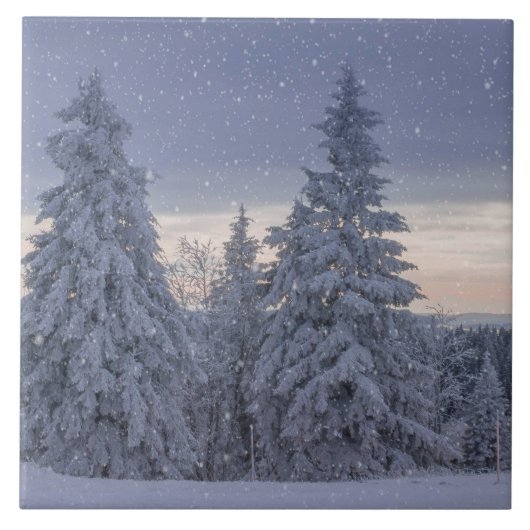 雪が降る美しい冬の風景 タイル (正面)