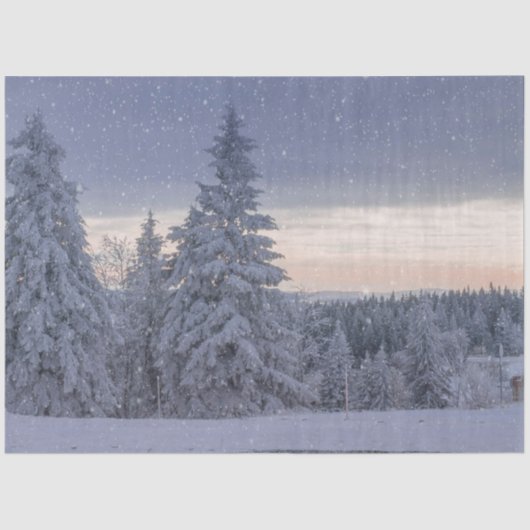 雪が降る美しい冬の風景 薄葉紙 (正面)