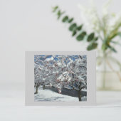 雪が降る シーズンカード (スタンド正面)