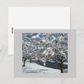 雪が降る シーズンカード (正面/裏面)