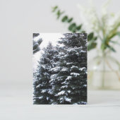 雪が降る ポストカード (スタンド正面)