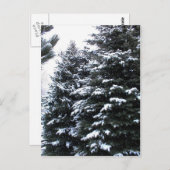雪が降る ポストカード (正面/裏面)