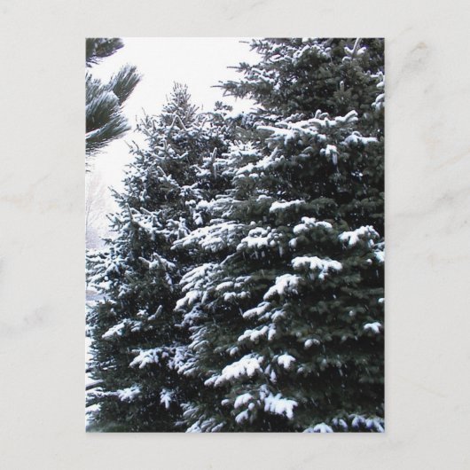 雪が降る ポストカード (正面)