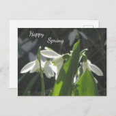 雪が降る。文字はがき ポストカード (正面/裏面)