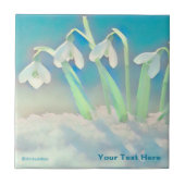 雪が青 タイル (正面)