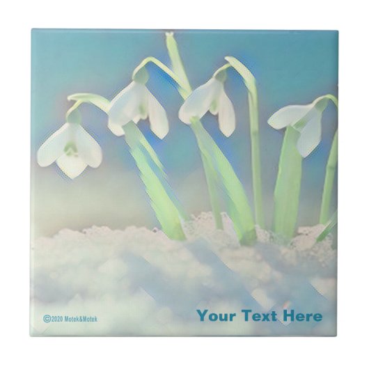 雪が青 タイル (正面)