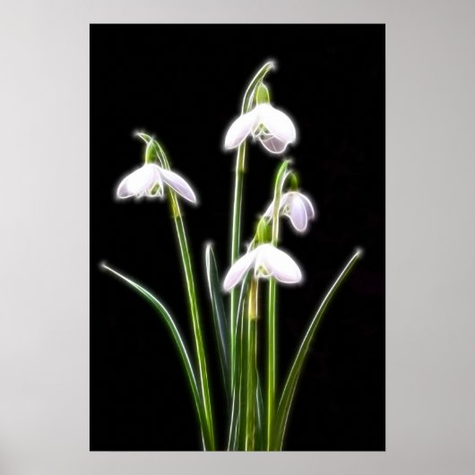 雪きらめく滴プリント ポスター (正面)