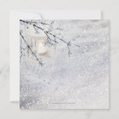 雪きらめく灯の冬の結婚式招待状 招待状 (裏面)