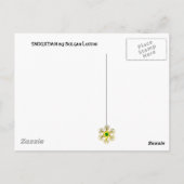 雪だるまとペンギンの冬のセレナード ポストカード (裏面)