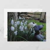 雪だるまはがき ポストカード (正面/裏面)